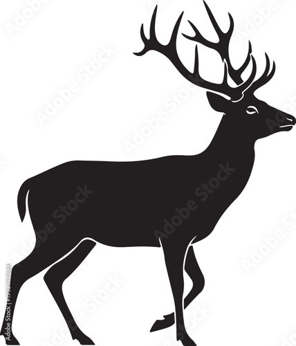 Vector silhouette of a stag with antlers