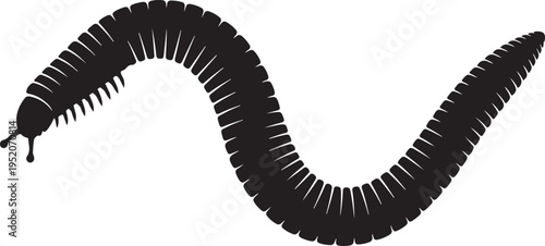 Vector centipede illustration, black silhouette on white background