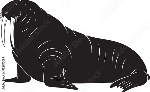 Vector walrus illustration, black silhouette on white background