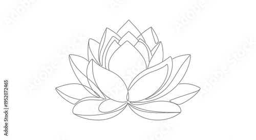 Detailed Line Drawing of a Lotus.
