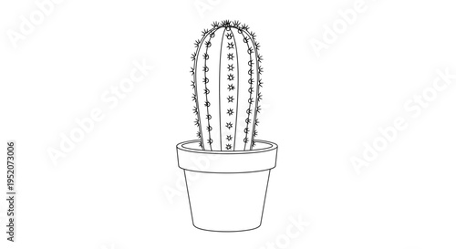 Prickly Cactus Plant in Pot.