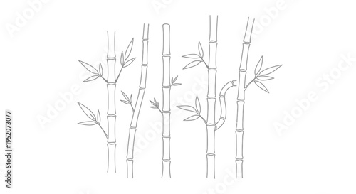 Bamboo stalks with green leaves.
