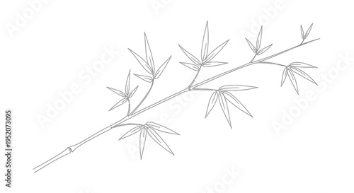 Detailed illustration of bamboo branch.