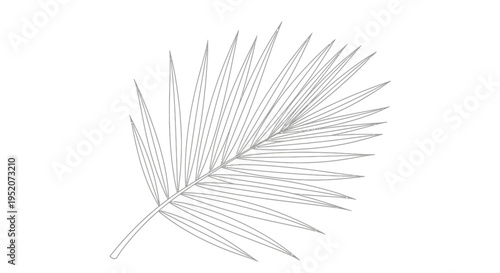Obraz na płótnie Detailed illustration of a single leaf.