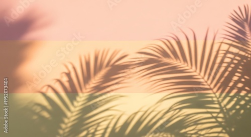 Abstract summer background with palm leaf shadows on pastel wall