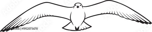 Vector flying seagull illustration