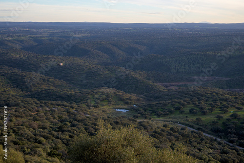 Wallpaper Mural Extremadura dehesa landscape Torontodigital.ca