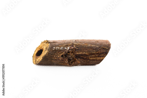 Collection of images with different types of biotic damage: from defoliation by carterpillars snails beetles fruit consumption by grasshoppers to deep holes made by borers in fig tree wood