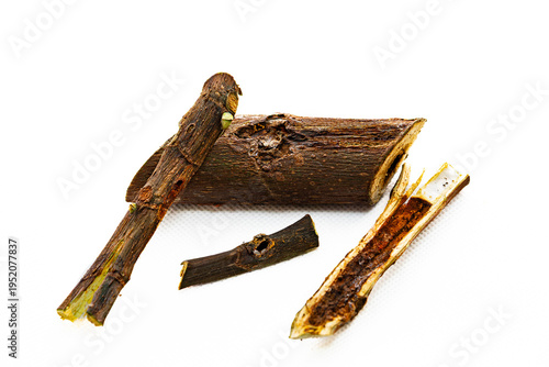Collection of images with different types of biotic damage: from defoliation by carterpillars snails beetles fruit consumption by grasshoppers to deep holes made by borers in fig tree wood