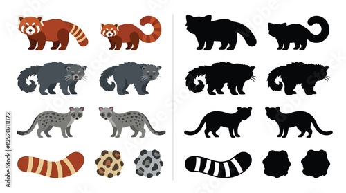Educational illustration of various animals like red pandas, binturongs, and clouded leopards with their corresponding silhouettes.