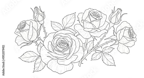 Elegant black and white line art illustration of a rose bouquet with leaves and buds. Detailed floral outline drawing, vector graphic.
