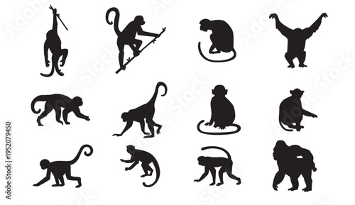 A collection of monkey silhouettes in various poses on a white background