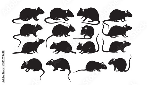 A group of black silhouettes of rodents against a white background