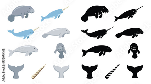 Collection of Illustrations Featuring Manatees and Narwhals, Including Full Body Views and Tail Fins.