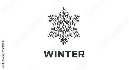 Snowflake winter weather symbol graphic.
