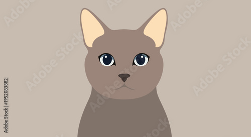 Cute brown cat face portrait.