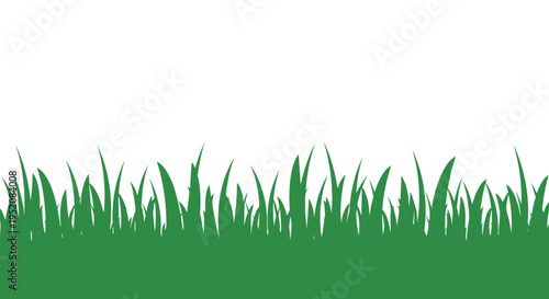 Green grass blades in a row 1.