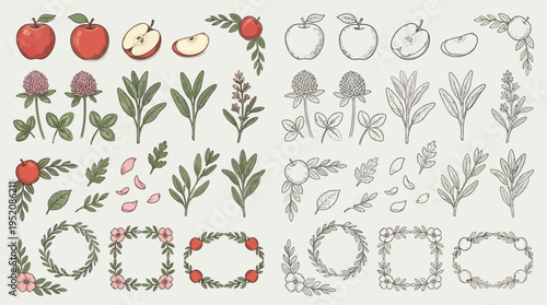 A collection of hand-drawn botanical illustrations featuring apples, clover, sage, and floral wreaths, presented in both color and line art styles.