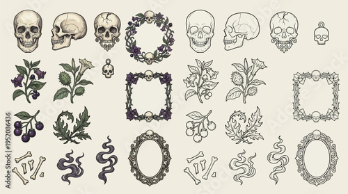 A collection of gothic and macabre illustrations featuring skulls, botanical elements, and ornate frames.