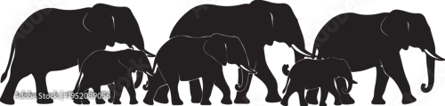 Fototapeta Elephant Herd Silhouette – African Wildlife Family Animal Vector