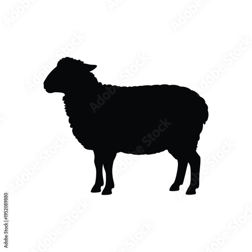 Bangkok skyline silhouette with the word thailand beneath it