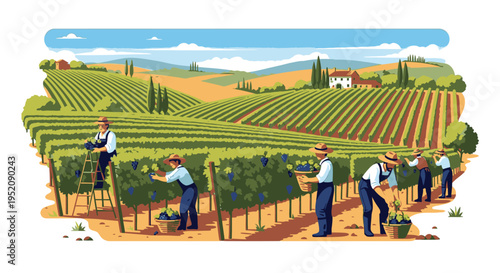 Illustration of vineyard workers tending to grapevines in a scenic countryside landscape with rolling hills and a farmhouse in the background.