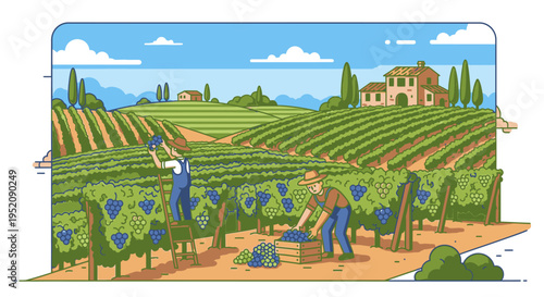 Illustration of vineyard workers tending to grapevines in a rolling Italian landscape with a large house and distant mountains under a blue sky with clouds.