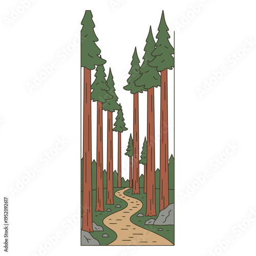 Scenic winding dirt path through a majestic forest of tall, towering redwood trees with green canopy overhead in a natural landscape