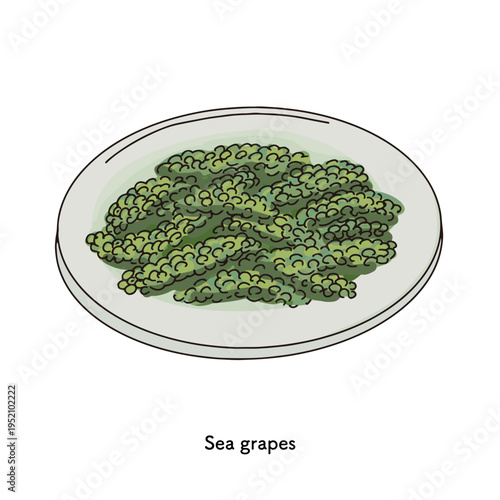 海ぶどうのシンプルな一皿プチプチ食感の海藻料理｜海ぶどう 海藻 食べ物 沖縄