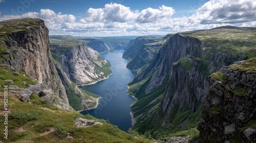 Scandinavian fjords with fjord canyon landscape alpine tundra vegetation bright scandinavian summer