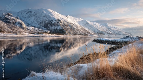 Scandinavian fjords with fjord coastal headland nordic hillside meadows snowy nordic winter