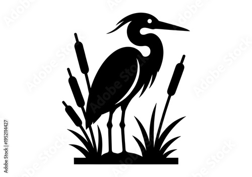 A man in a fitness gym drinking water bottle in silhouette mode