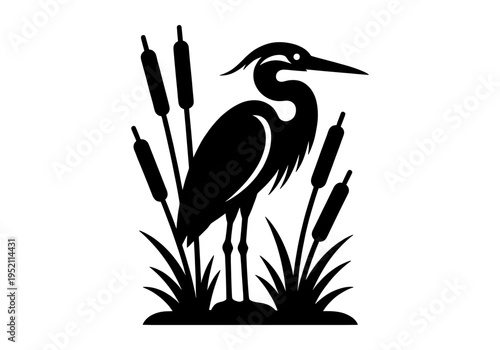 A silhouette of a person against a bright background