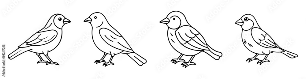 Fototapeta premium Four outlined bird drawings representing different species in a row