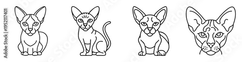 Four black and white line drawings of cats with large ears