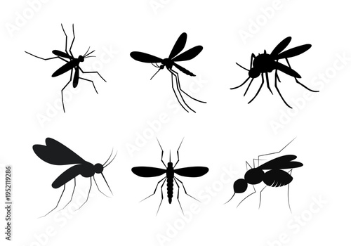 Mosquito silhouettes arranged in formation, flying insect vector collection isolated on white