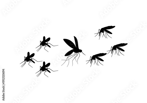 Mosquito Silhouette Collection. Flying Insect Icons Isolated on a White Background
