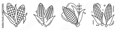Outline drawing of several corn cobs with husks and stylized decoration