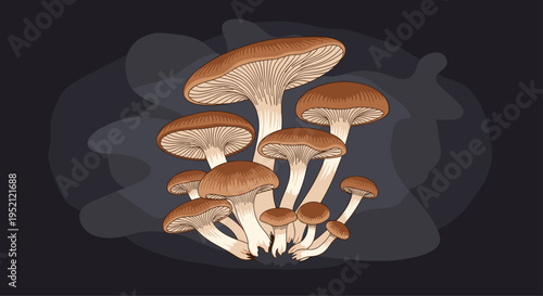 Cluster of brown wild mushrooms growing together in various sizes against a dark background with soft atmospheric lighting and shadows.