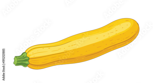 Simple vector illustration of a fresh yellow zucchini with a green stem isolated on a white background for food and garden themes.
