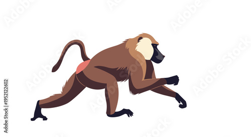 Wild baboon walking across a plain white background shown from a side profile with brown fur and distinct facial features.