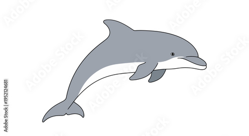A dolphin leaps out of the ocean water in a natural aquatic environment with a playful expression.