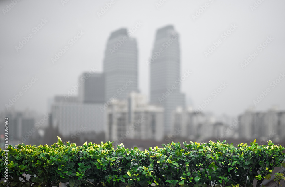 Fototapeta premium Defocused grey city skyline background with sharp green bushes in foreground, moody urban atmosphere with copy space.