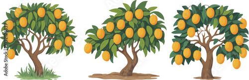 Set of mango fruit trees with ripe yellow mangoes and green leaves isolated on white background for agriculture and tropical nature designs