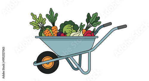 Blue metal wheelbarrow is overflowing with fresh garden vegetables including carrots, cabbage, broccoli, and peppers for harvest.
