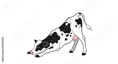 Humorous illustration of a black and white spotted cow performing a downward dog yoga pose on a plain white background.