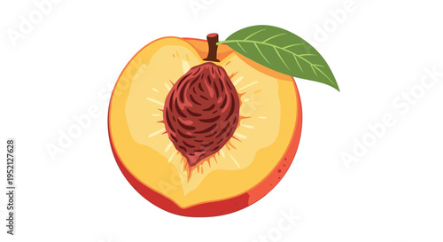 Detailed illustration of a peach cut in half reveals the juicy yellow flesh and textured brown pit with a green leaf attached.