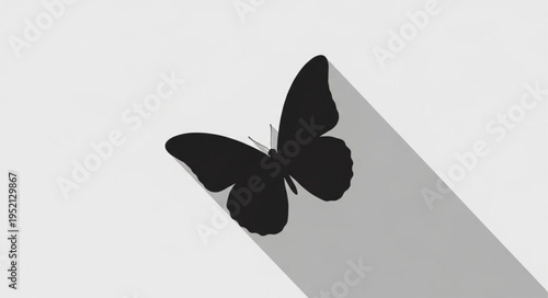 Silhouette of a Butterfly with a Long Shadow on a Light Background.