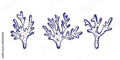 Hand drawn coral branches set in vintage engraving style. Vintage coral branch vector set with hand drawn marine reef forms. Marine reef silhouettes isolated on light background for logo tattoo print