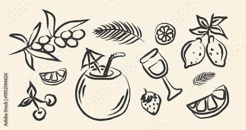 Hand Drawn Summer Food Cocktail Vintage Icon set. Berries Branches Fruits Elements in Charcoal Pencil. Drinks Icons in Pencil Doodle Style. Drawing ink. Travel Food drawing hand drawn. Sketch Italian